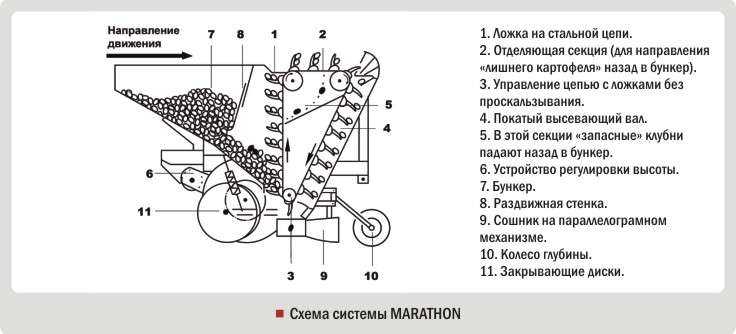 Посадка картофеля мотоблоком: как сажать правильно