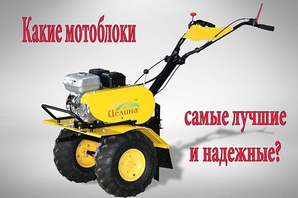 Мотоблок ока или нева что лучше