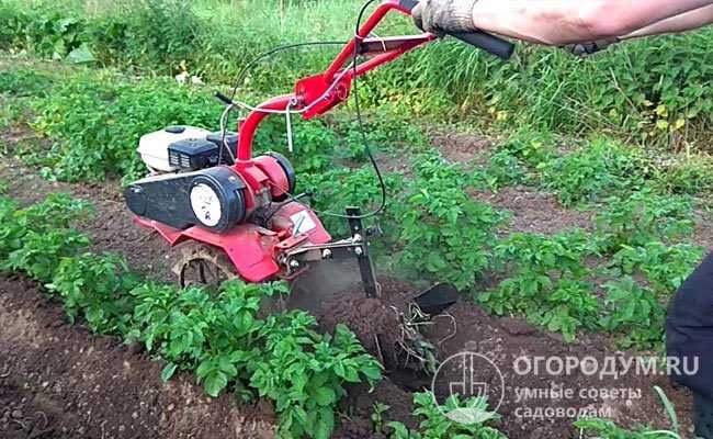 Какой окучник лучше для мотоблока дисковый или ушастый отзывы
