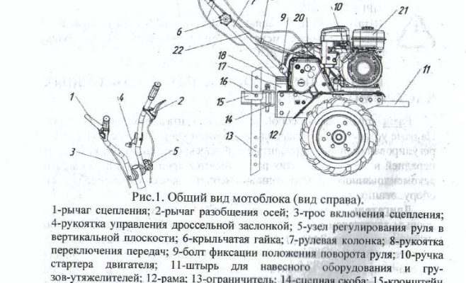 Бензин для мотоблока нева мб 2